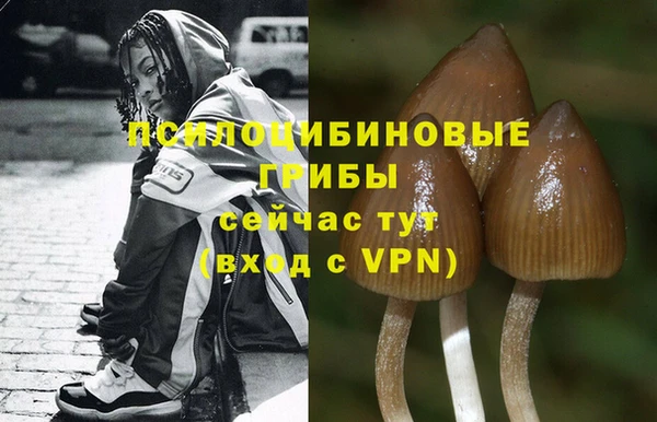 амф Баксан
