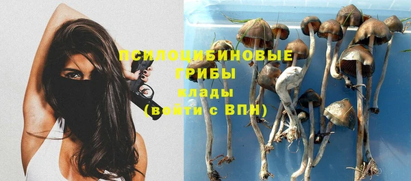 прущие крисы Балабаново