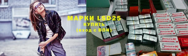 ПСИЛОЦИБИНОВЫЕ ГРИБЫ Медвежьегорск