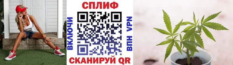 МАРИХУАНА VHQ  Гурьевск 